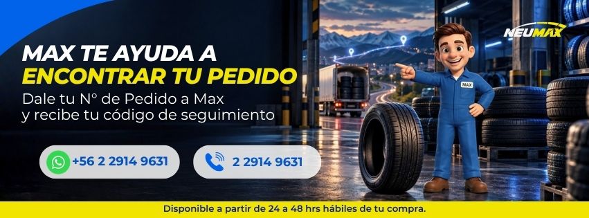 Promoción Neumax
